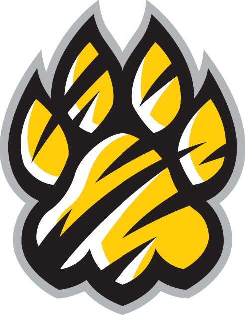 Towson Tigers 2004-Pres Alternate Logo t shirts iron on transfers v3